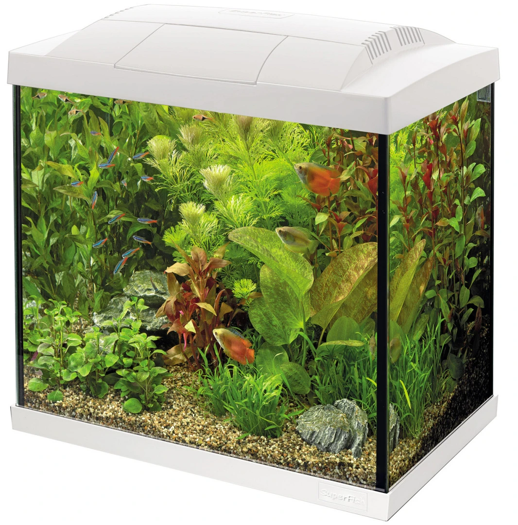 SuperFish Aquarium Start 30 Tropical Kit Wit 1 SuperFish Aquarium Start 30 Tropical Kit Wit