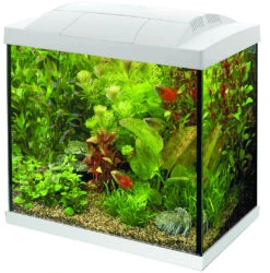 SuperFish Aquarium Start 50 Tropical Kit Wit