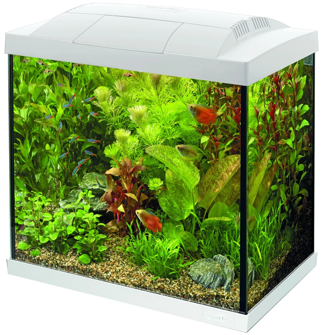 SuperFish Aquarium Start 50 Tropical Kit Wit 1 SuperFish Aquarium Start 50 Tropical Kit Wit