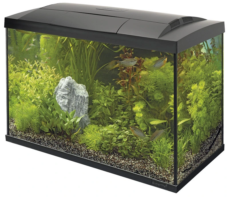 SuperFish Aquarium Start 70 Tropical Kit Zwart 1 SuperFish Aquarium Start 70 Tropical Kit Zwart
