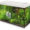 SuperFish Aquarium Start 70 Tropical Kit Wit