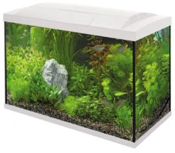 SuperFish Aquarium Start 70 Tropical Kit Wit