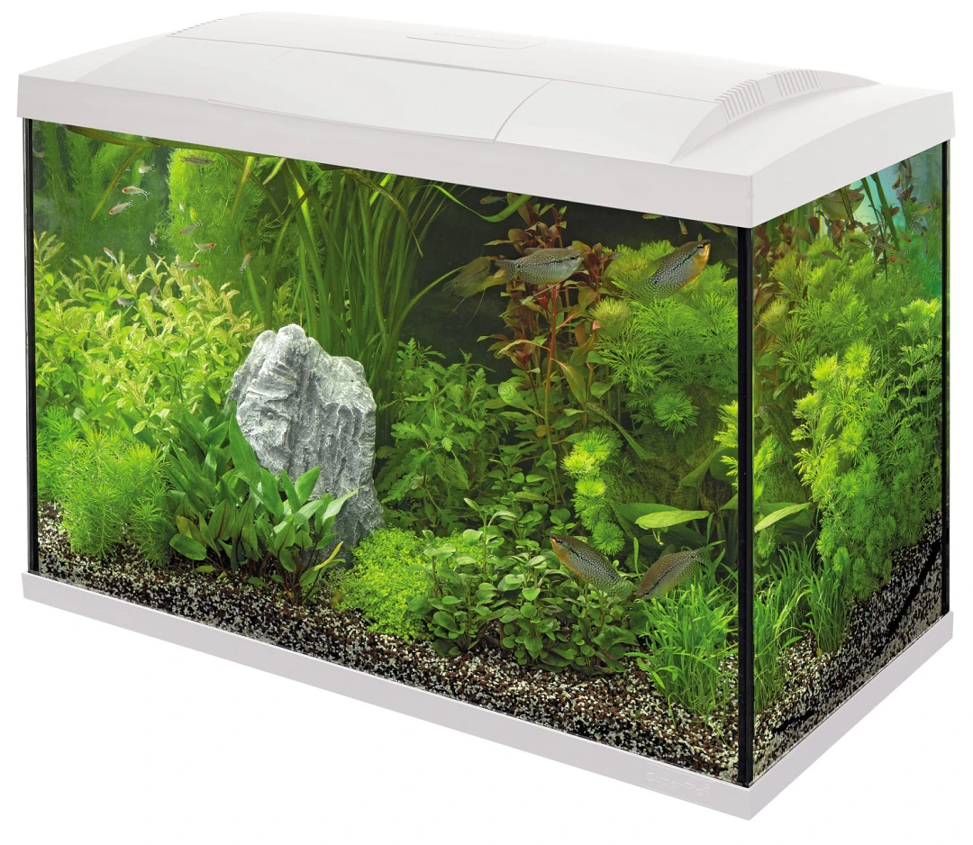 SuperFish Aquarium Start 70 Tropical Kit Wit 1 SuperFish Aquarium Start 70 Tropical Kit Wit