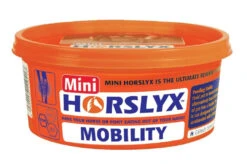 Horslyx Liksteen Mobility Balancer Mini 650 Gr